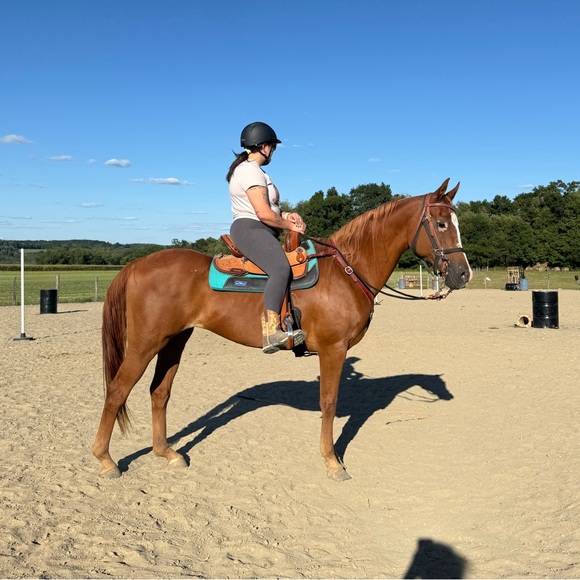 Meet your Posher(s) Ali, NovaLynn, Emmett, Dolly & Taz 🤍 - Picture 6 of 6